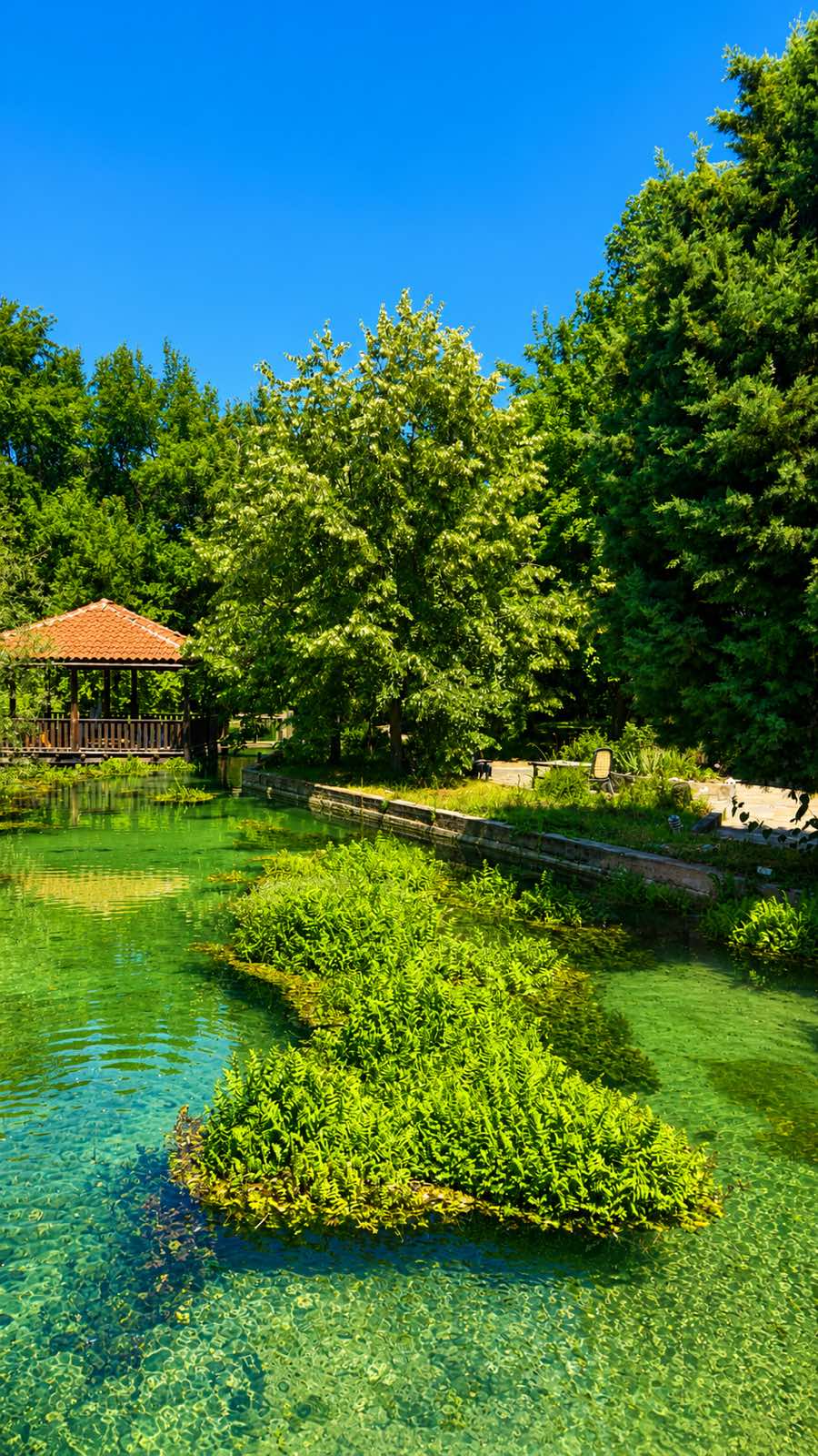 Зеленина и водна площ край дом Хигиа